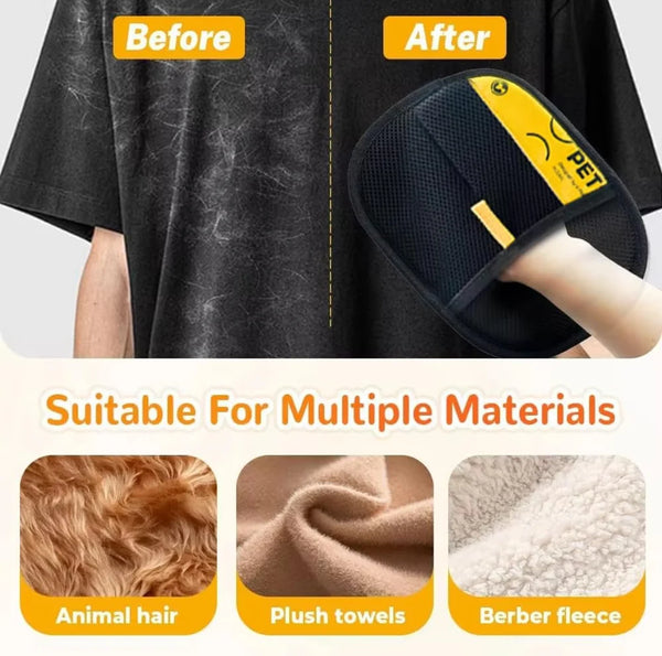 Sarah T. | Multi-pet Home